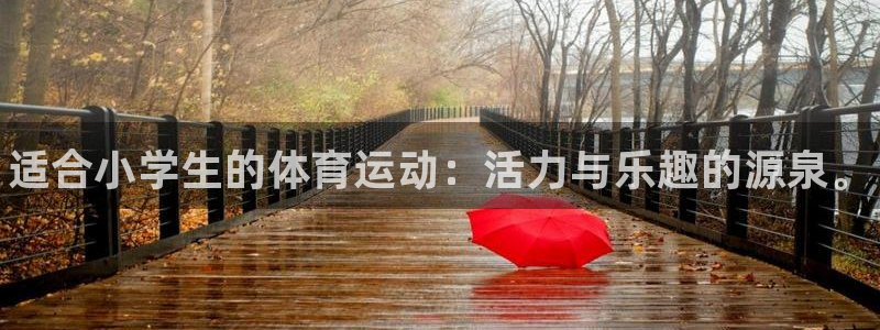 MK体育官方正版app代理：适合小学生的体育运动：活