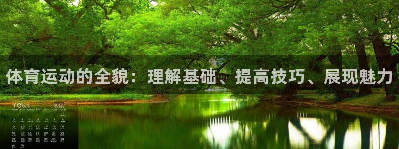 MK体育官方正版app神州：体育运动的全貌：理解基础