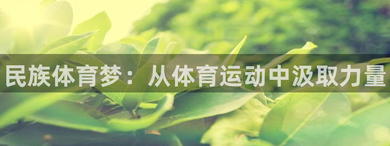 注册MK体育官方正版app：民族体育梦：从体育运动中