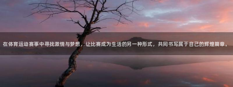 MK体育官网下载招商：在体育运动赛事中寻找激情与梦想