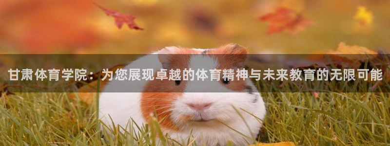 MK体育官网下载平台注册流程视频：甘肃体育学院：为您