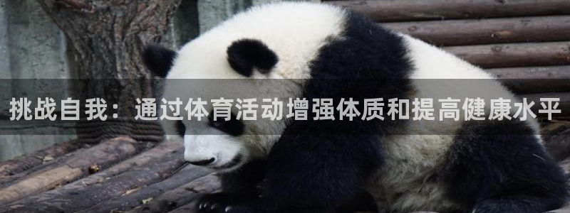 MK体育官网下载平台注册要钱吗：挑战自我：通过体育活