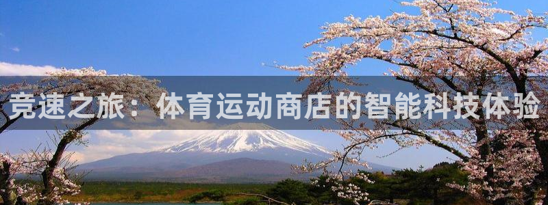 MK体育官方正版app官网：竞速之旅：体育运动商店的