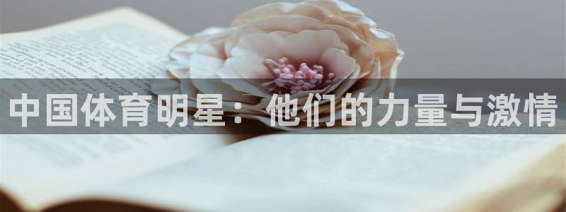MK体育官网下载平台APP：中国体育明星：他们的力量