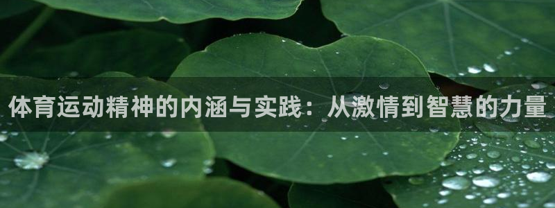 MK体育官网下载平台假的吗是真的吗：体育运动精神的内涵与实践