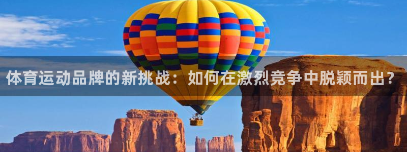 MK体育官方正版app娱乐网站：体育运动品牌的新挑战