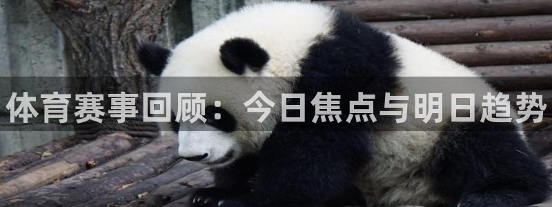 MK体育官网下载招商电话是多少号码