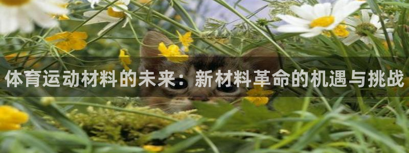 MK体育官网下载是干嘛的公司：体育运动材料的未来：新材料革命