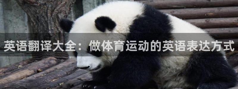 MK体育官网下载招商电话号码查询是多少：英语翻译大全：做体育