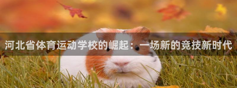 MK体育官网下载招商电话地址：河北省体育运动学校的崛起：一场