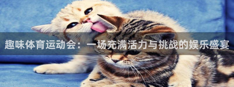 MK体育官网下载平台是正规平台吗知乎：趣味体育运动会：一场充