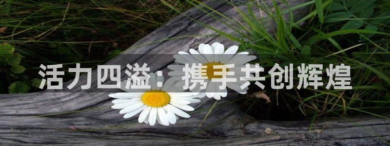 MK体育官网下载招商电话号码是多少：活力四溢：携手共