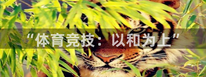 MK体育官网下载招商电话是多少啊：“体育竞技：以和为上”