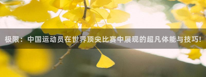 MK体育官网下载招商电话号码是多少啊：极限：中国运动员在世界
