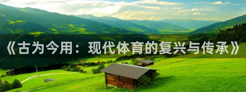 MK体育官方正版app开户