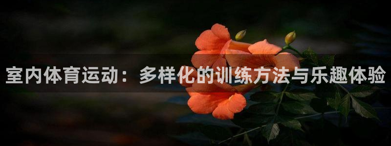 MK体育官网下载娱乐：室内体育运动：多样化的训练方法与乐趣体