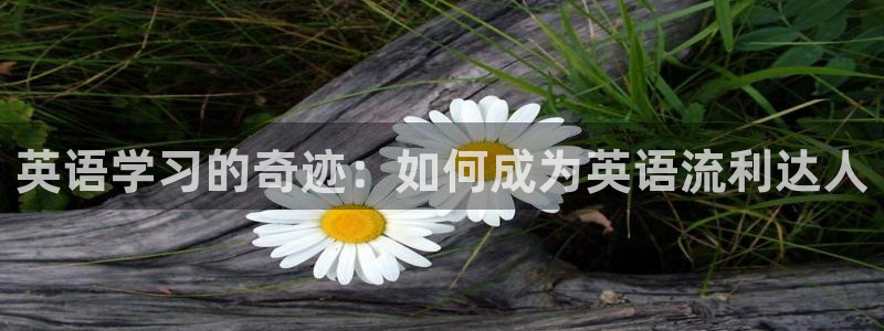 海南MK体育官网下载发展怎么样