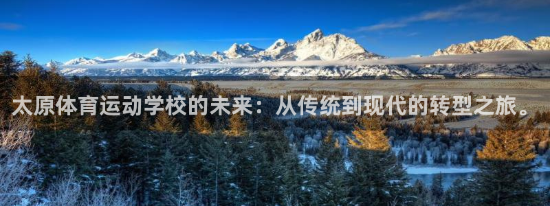 MK体育官方正版app娱乐