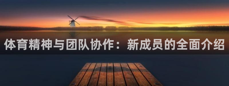 MK体育官方正版app娱乐网站：体育精神与团队协作：新成员的