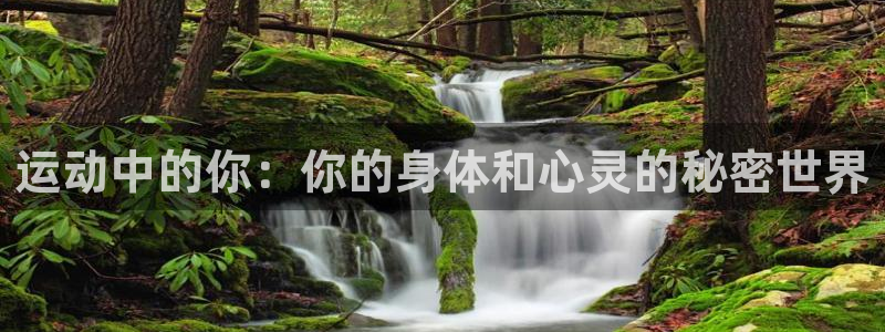 MK体育官方正版app娱乐平台：运动中的你：你的身体和心灵的