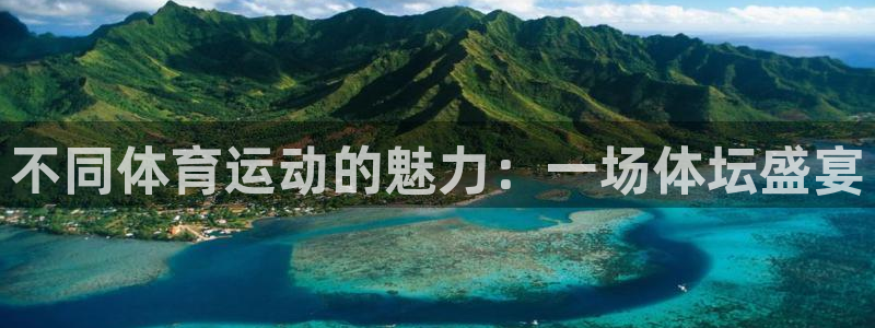 MK体育官方正版app集团logo：不同体育运动的魅