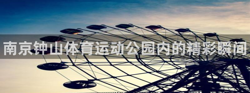 MK体育官方正版app集团官网网址