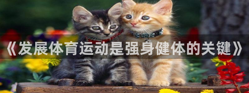 MK体育官网下载平台注册：《发展体育运动是强身健体的关键》