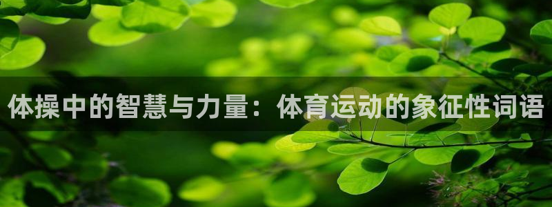 MK体育官网下载平台：体操中的智慧与力量：体育运动的象征性词